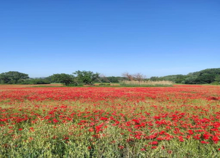 View from property, Holiday Home in Orange With Private Pool, Vaucluse