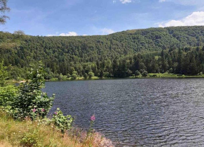 View from property 3, Elegant Chalet in Gerbepal in Cosy Environment, Vosges