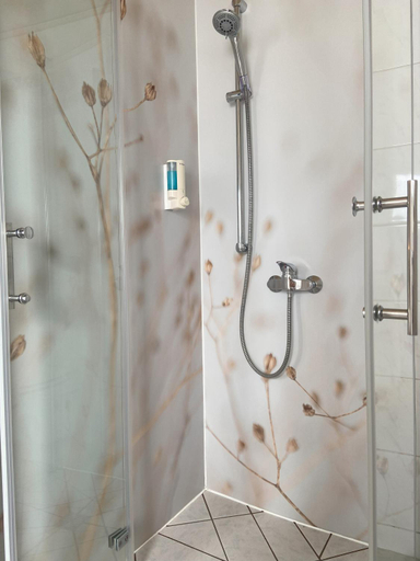 Bathroom 5, Gasthof zur Krone, Odenwaldkreis