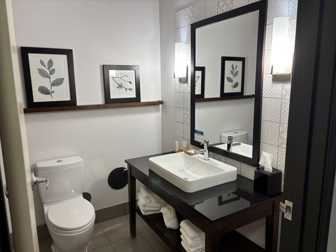 Bathroom 4, Country Inn & Suites by Radisson, Springfield Southeast, Sangamon
