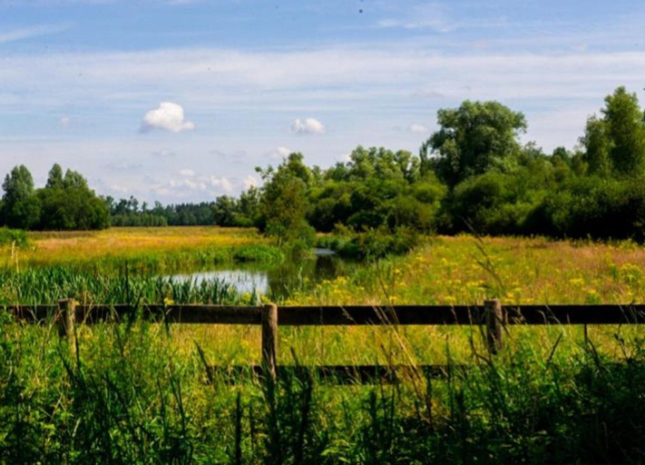 View from property 3, Cosy Holiday Home in Maarheeze With Verandah, Cranendonck