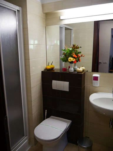 Bathroom 4, Hotel Carpati, Predeal