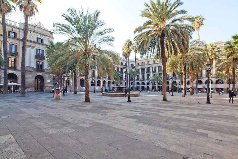 Others 4, My Address in Plaza Real, Barcelona