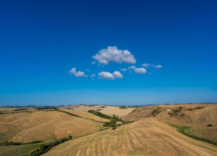 View from property 4, Tuscan Retreat in Montalceto, Siena
