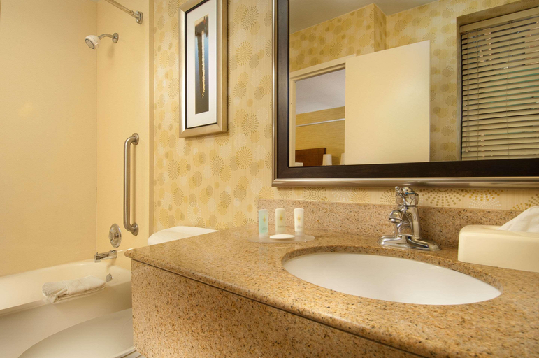 Bathroom 4, Comfort Inn Downtown Dc/Convention Center, Washington D.C.