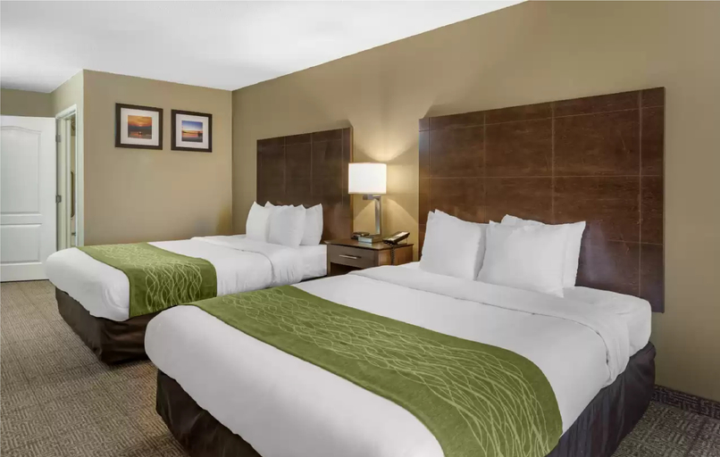 Bedroom 3, Comfort Inn & Suites Bryant - Benton, Saline