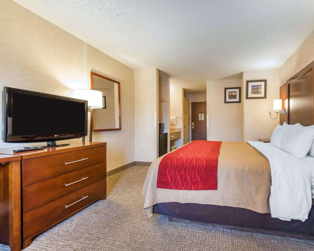 Bedroom 3, Comfort Inn North Air Force Academy, El Paso