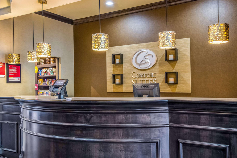 Public Area 2, Comfort Suites Alexandria North, Rapides