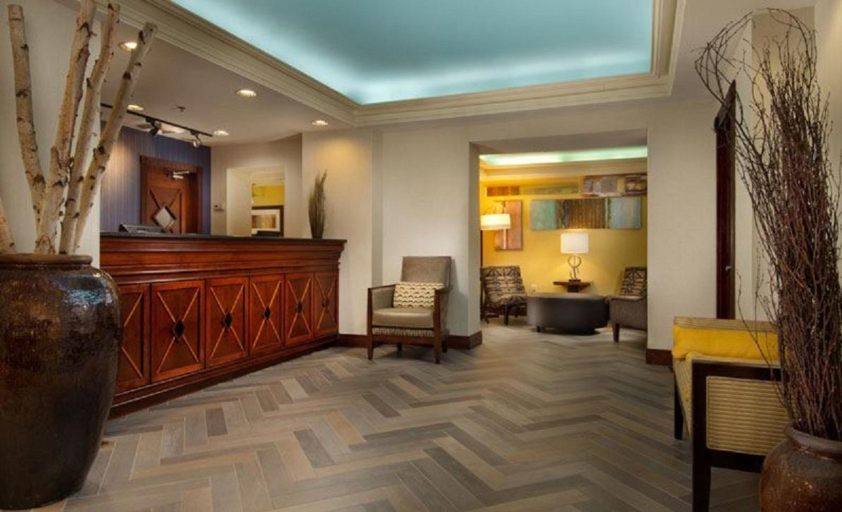 Public Area 2, Comfort Inn Downtown Dc/Convention Center, Washington D.C.