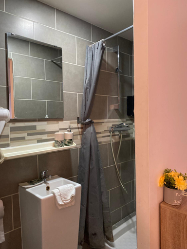 Bathroom 2, Hotel des Beaux Arts, Savoie