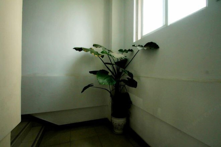 Others 4, Jiajian Hostel, Shanghai