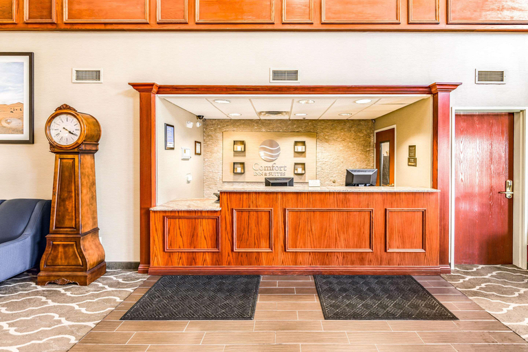 Public Area 2, Comfort Inn & Suites Rapid City South - Mt. Rushmore Gateway, Pennington