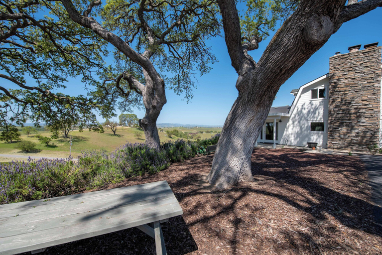 Exterior & Views 2, Hidden Acre - Bird House, San Luis Obispo