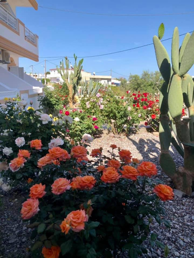 Others 5, Anthoulis Studios, South Aegean
