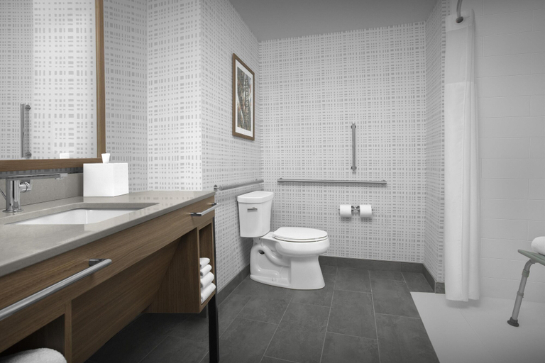 Bathroom 5, Hampton Inn Lenoir City, Loudon