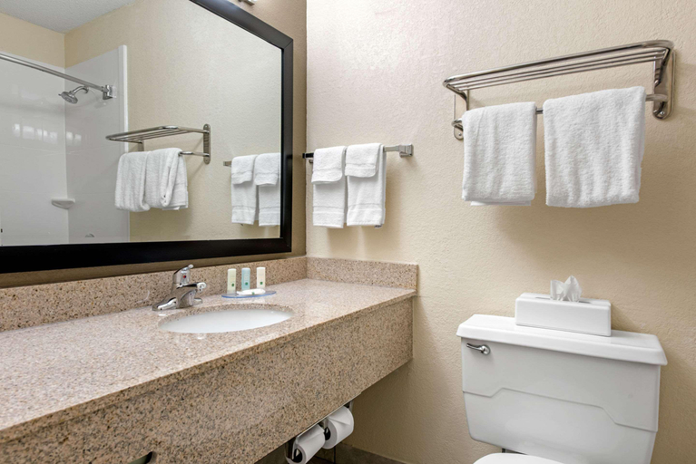 Bathroom 4, Quality Inn & Suites Lafayette I-65, Tippecanoe