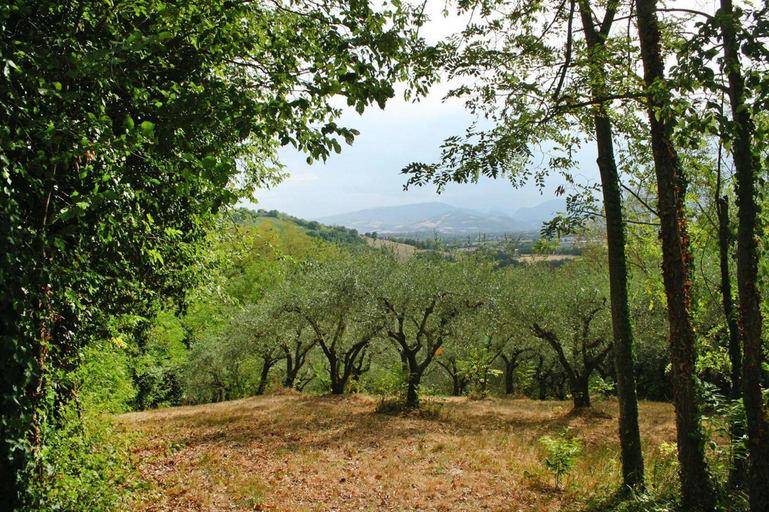 Others 3, Holiday home Montemaggiore Marche with swimming pool, Pesaro E Urbino