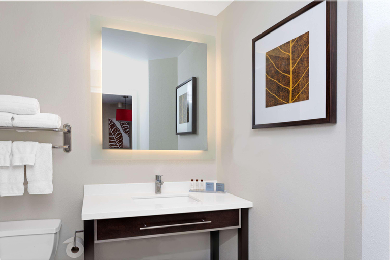 Bathroom 4, MainStay Suites Chicago Hoffman Estates, Cook