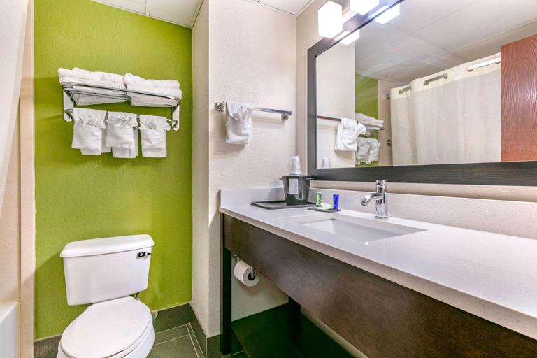 Bathroom 4, Sleep Inn & Suites near Sports World Blvd, Sevier