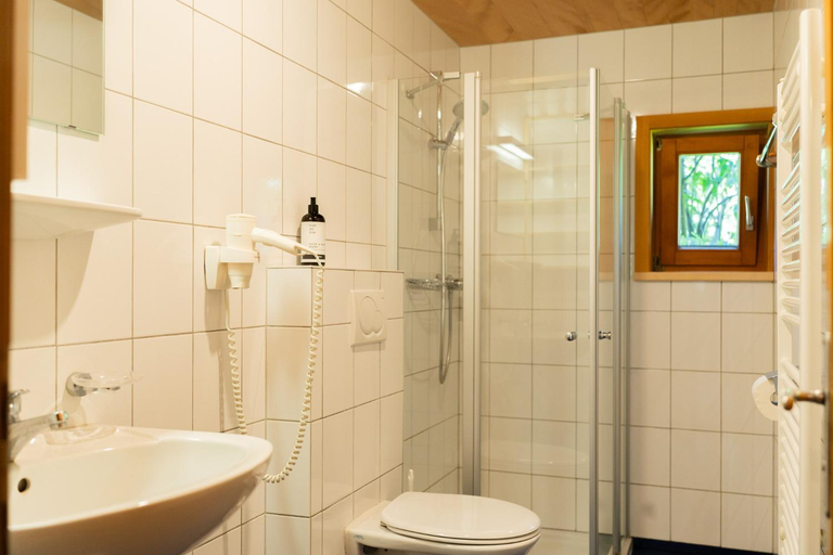 Bathroom 3, NigschHof, Bregenz