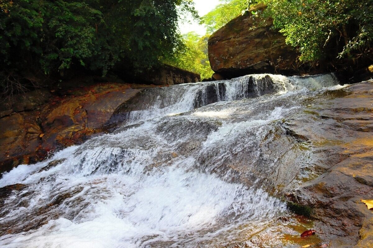 Others 4, Makeliya Jungle & Waterfall Tour, Palindanuwara