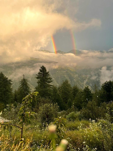 Others 5, The Shilaroo Project, Shimla