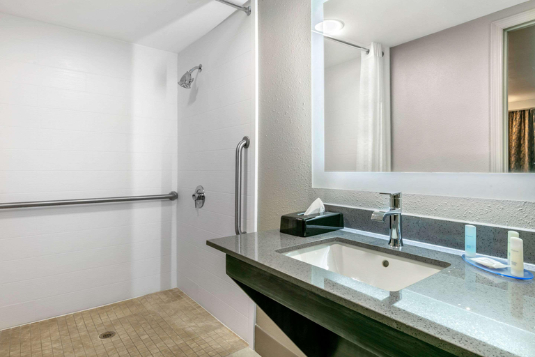 Bathroom 4, Clarion Inn & Suites Airport Murfreesboro, Rutherford