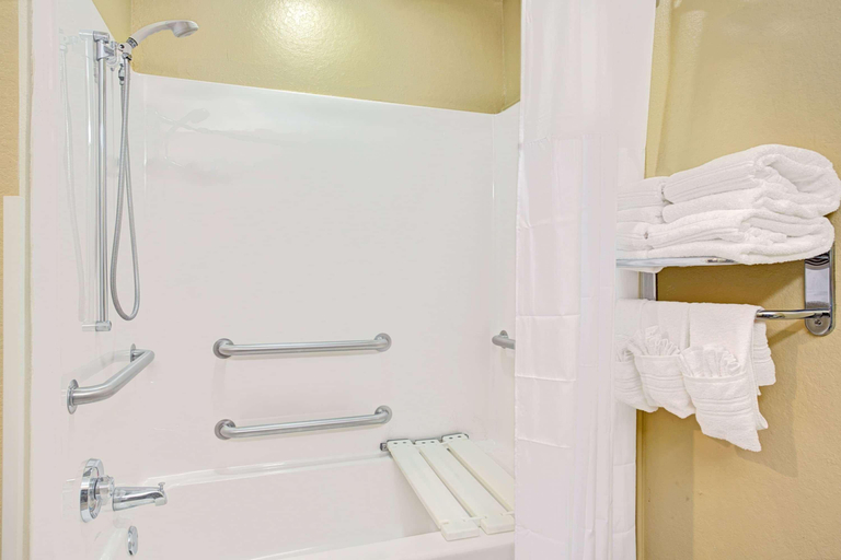 Bathroom 4, Microtel Inn & Suites by Wyndham Bushnell, Sumter