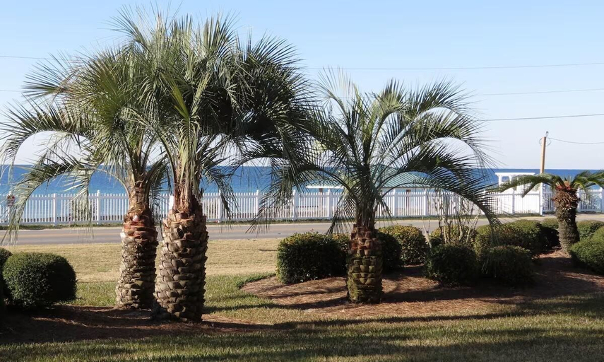Others 4, Gulf Winds East #3, Walton
