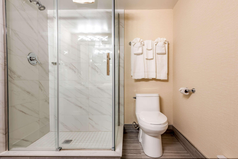 Bathroom 5, Quality Inn & Suites, Niagara
