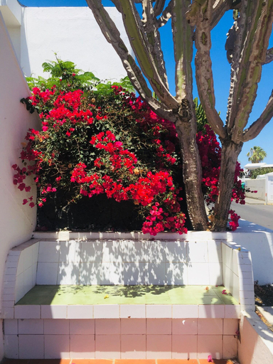 Public Area, Maribel, Las Palmas