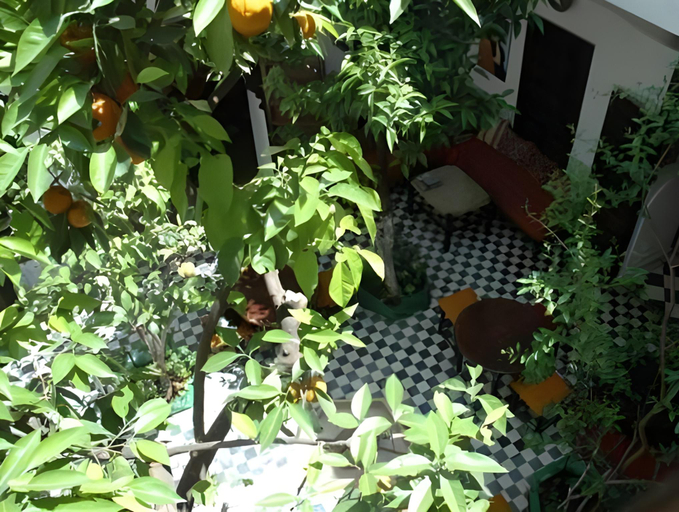 Public Area 3, Riad Blue Berber , Marrakech