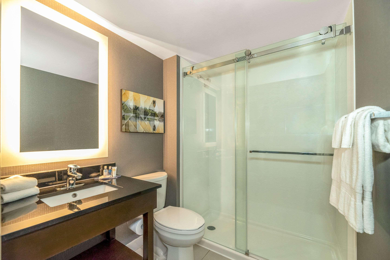 Bathroom 4, Comfort Inn Winnipeg Airport, Division No. 11