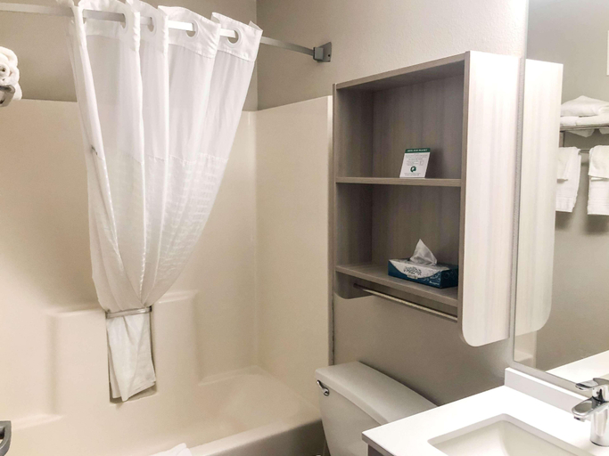 Bathroom 4, Microtel Inn & Suites By Wyndham Eagan/St Paul, Dakota