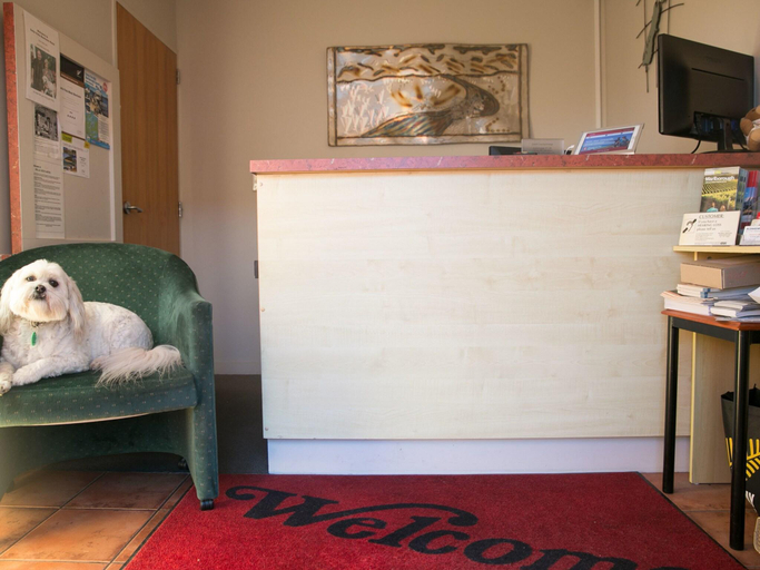 Public Area, Bella Vista Motel Blenheim, Marlborough