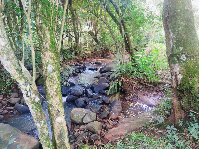 Others 5, Espaço Manancial, Guatambú