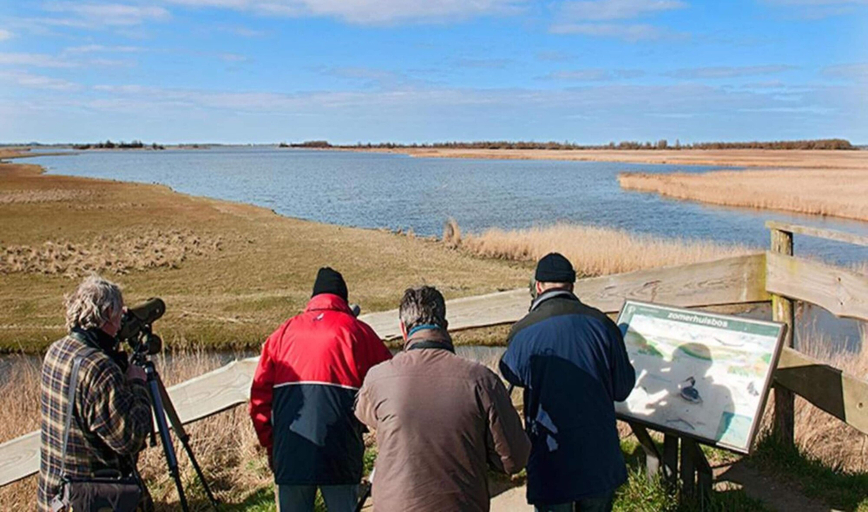View from property 3, Tent Lodge in Twijzel Near Town Center, Achtkarspelen