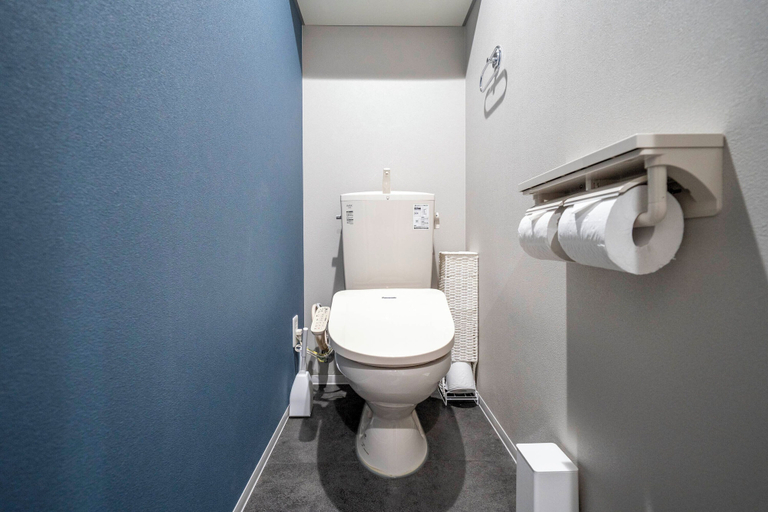 Bathroom 3, NEST, Sapporo