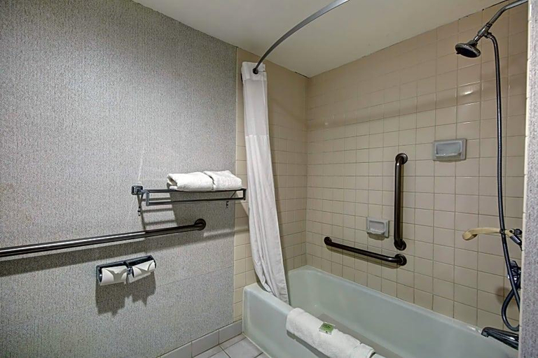 Bathroom 3, Ivy Palm Resort and Spa, Riverside