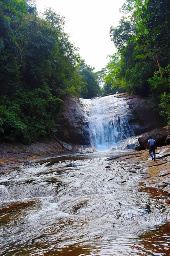 Others 2, Makeliya Jungle & Waterfall Tour, Palindanuwara