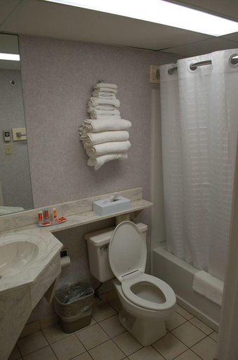 Bathroom 5, Quality Inn & Suites Ocean City Fenwick, Sussex