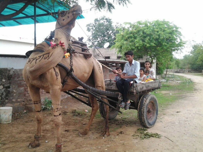 Others 4, Swapanlok Farms And Resorts, Jaipur