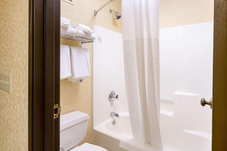 Bathroom 5, Quality Inn Parkersburg North - Vienna, Wood