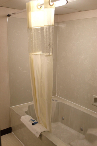 Bathroom 4, Lamplighter Inn & Suites - South, Greene