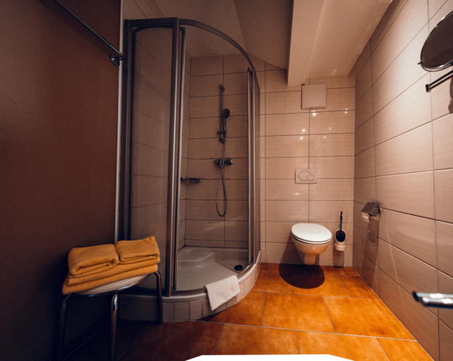 Bathroom 3, Hotel Berghof Baumgartner, Ried im Innkreis