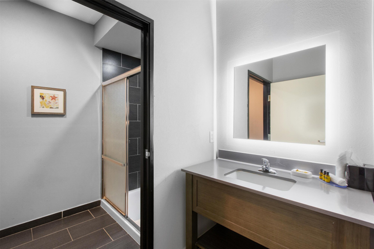 Bathroom 4, Best Western Plus Regency Park, Livingston