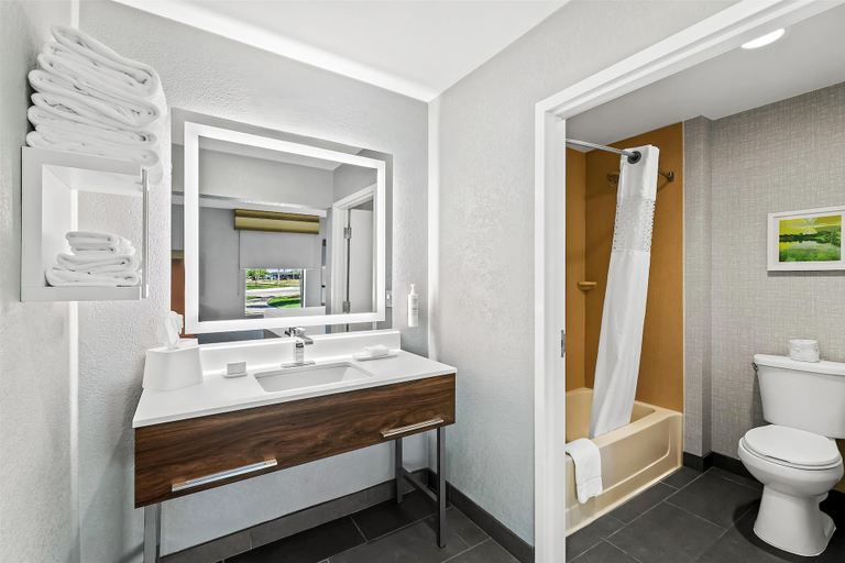 Bathroom 4, Hampton Inn Omaha/West Dodge Road (Old Mill), Douglas