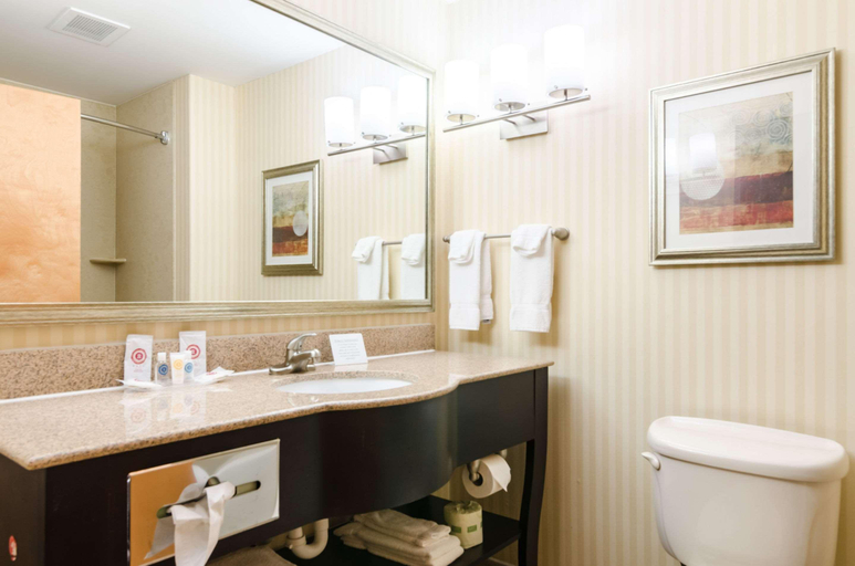 Bathroom 4, Comfort Suites Salina Area, Saline