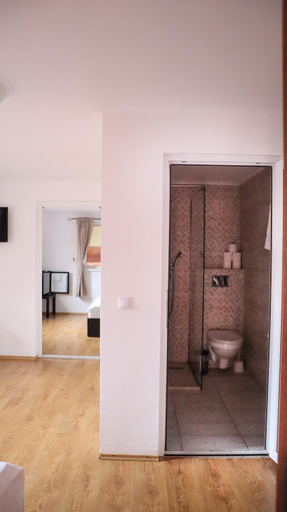 Bathroom 3, Marginimea Sibiului - Pensiunea Darian & David, Orlat