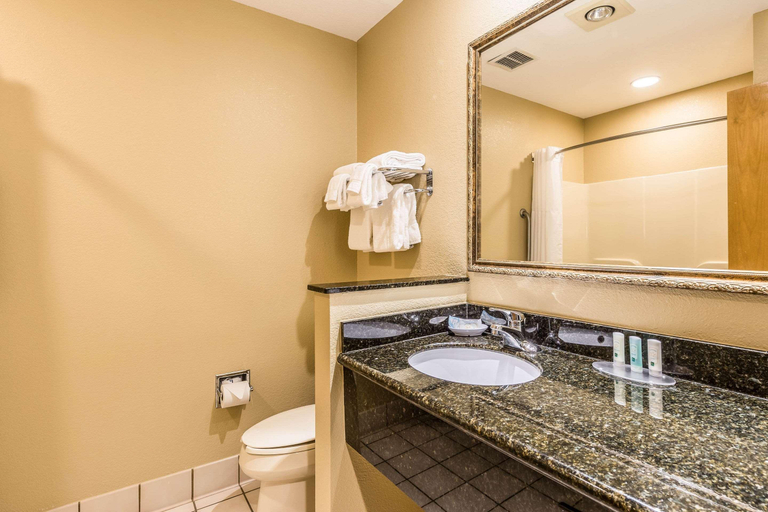 Bathroom 4, Quality Inn & Suites Hendersonville - Flat Rock, Henderson